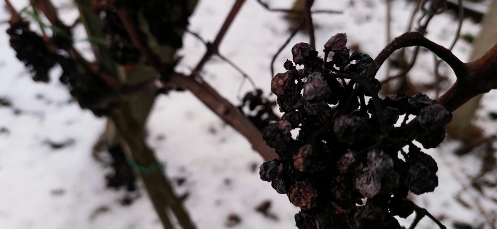 Weinmarketing mit Instagram: Deine Stories sind dein Alltag - nutze sie.